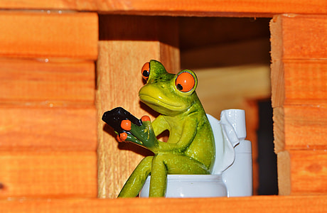 frog sitting on toilet bowl figurine thumbnail