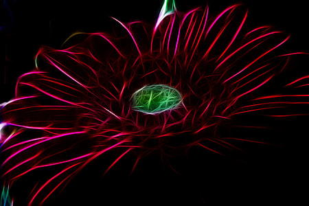 close-up photo of red daisy flower digital wallpaper thumbnail