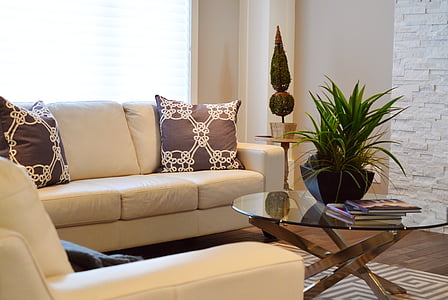 yellow leather sofa beside coffee table with plant thumbnail