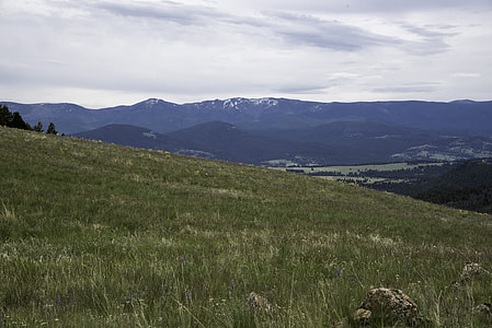 Hillside grass with tall mountains in the background in Helena thumbnail