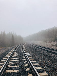 gray and white metal train rail surrounded with trees and fogs thumbnail