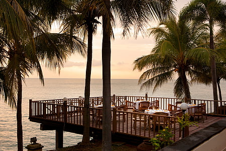 brown wooden deck near palm trees and body of water thumbnail