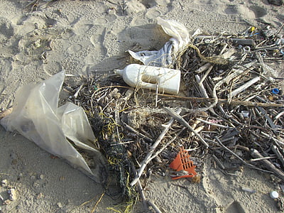 drift twigs on beach shore with plastic bottles and bags during daytime thumbnail