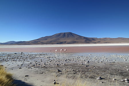 white sand across brown mountain during daytime thumbnail