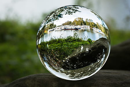 close-up photography of water dew thumbnail
