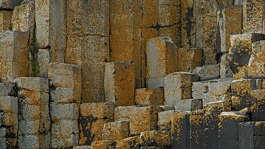 brown wall bricks thumbnail