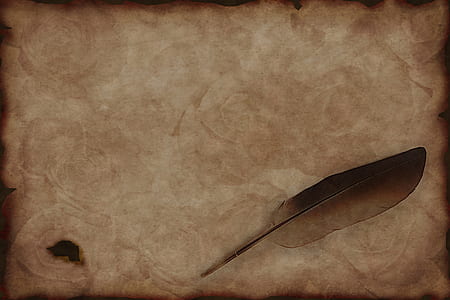 brown feather painting thumbnail
