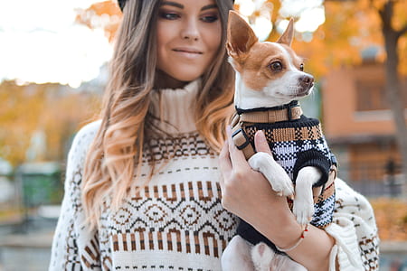 woman holding adult Chihuahua outside thumbnail