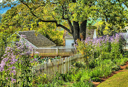 purple flowers beside tree at daytime thumbnail