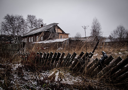 brown wooden house near brown wooden bare trees at daytime thumbnail