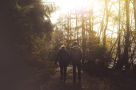 couple walking in middle of pathway between trees thumbnail