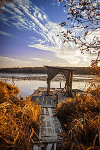 Grass-covered Brown Wooden Dock by a Body of Water during Day thumbnail