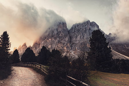 Grey Mountain Near Trees thumbnail