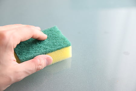 person holding yellow and green sponge thumbnail