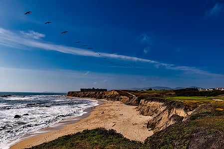 seashore ocean thumbnail