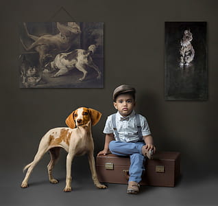 boy wearing white top with blue jeans sitting beside brown and white dog thumbnail