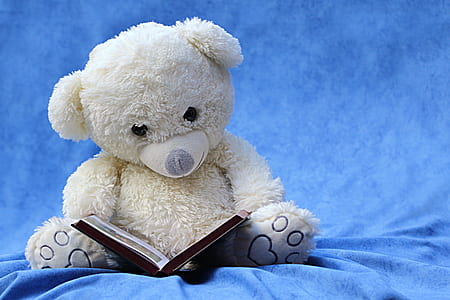 white bear plush toy thumbnail
