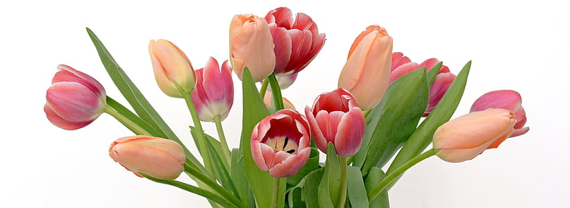 orange and red tulip flower arrangement thumbnail