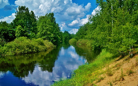 river beside trees under white and blue cloudy skies thumbnail