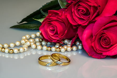 flowers, petals, leaves, bouquet thumbnail
