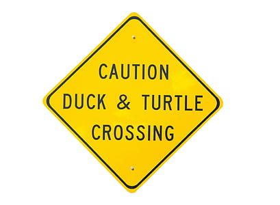caution duck & turtle crossing signage thumbnail