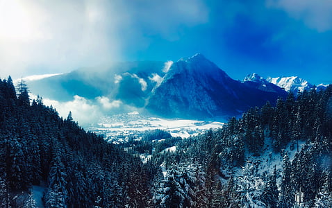 mountain near pine trees during winter season thumbnail
