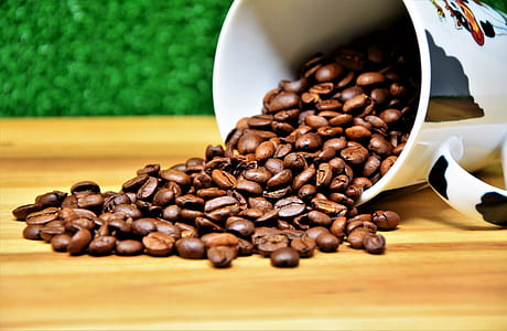 coffee bean lot thumbnail