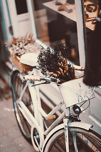 selective focus photo of white beach cruiser bicycle thumbnail