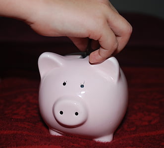 white ceramic pig bank thumbnail