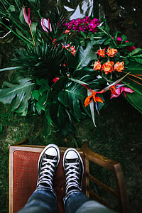 Colorful Exotic Flowers and Greenery thumbnail