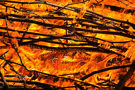 Burning Fire thumbnail