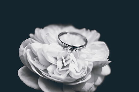 Photo of Silver Ring thumbnail