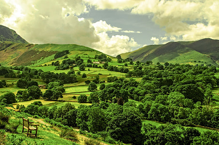 green leafed trees during daytime thumbnail