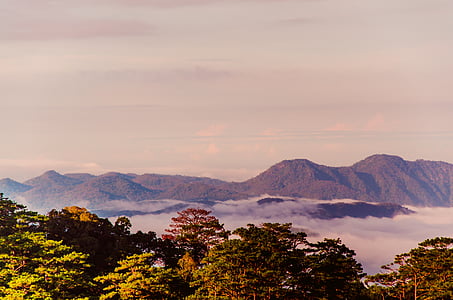 green leaf tree and mountain at day time thumbnail