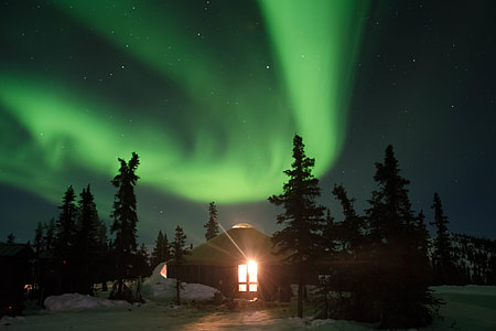Night shot of the famous Northern Lights stars on display thumbnail