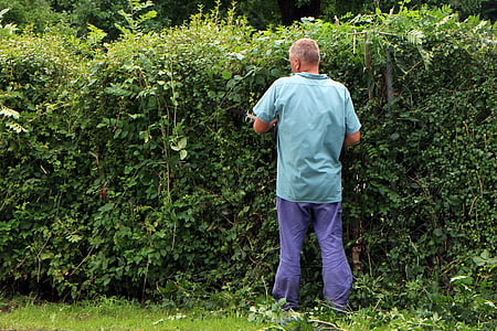 man standing beside green leaf plant thumbnail
