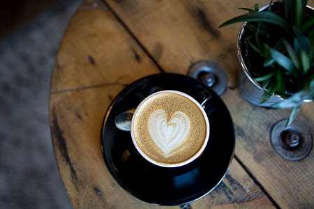 shallow focus photograph of teacup latte art beside plant thumbnail