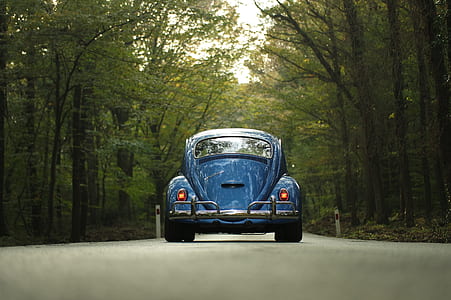 classic blue Volkswagen Beetle coupe on concrete road between trees thumbnail