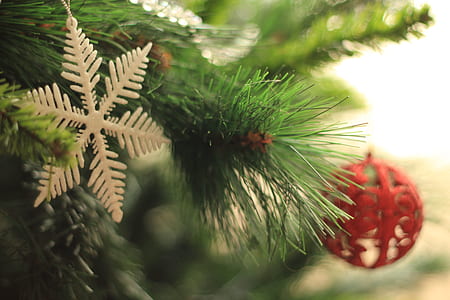 assorted-color Christmas decors thumbnail