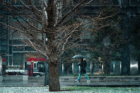 person with umbrella walking on road thumbnail
