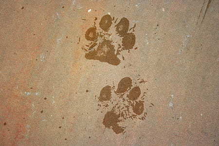 brown surface thumbnail
