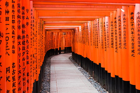 photo of inside the orange and black building thumbnail