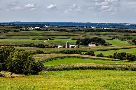 green pasture under cloudy blue sky thumbnail