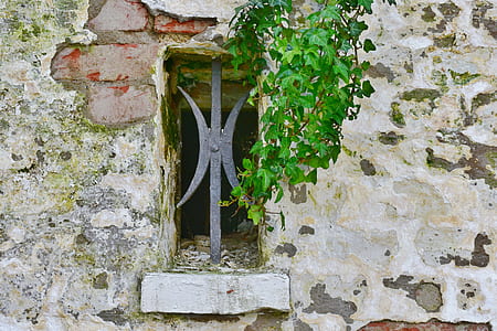 green leafed plant beside black metal window thumbnail