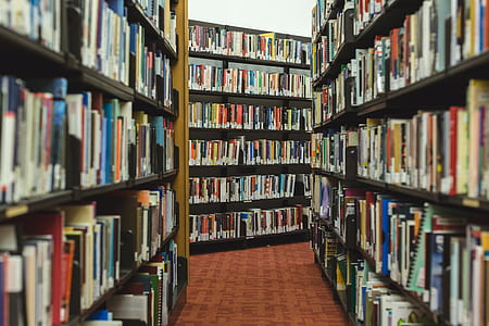 book lot thumbnail