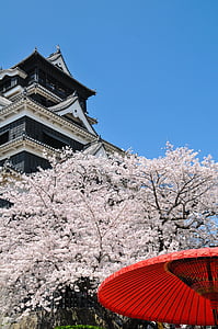 red parasol near cherry blossom tree under clear blue sky at daytime thumbnail