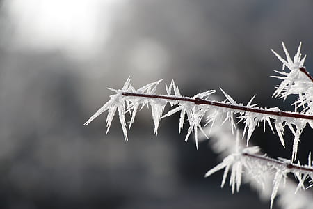 snow flakes in close up shot thumbnail