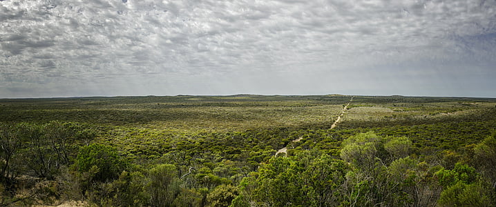 landscape photography of green field thumbnail