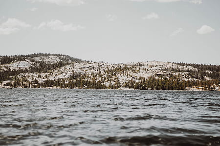 photo of trees near body of water thumbnail