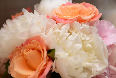 white, red, and pink flower bouquet macro photography thumbnail